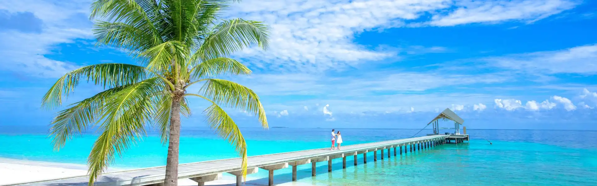 Promotion  toute l’année