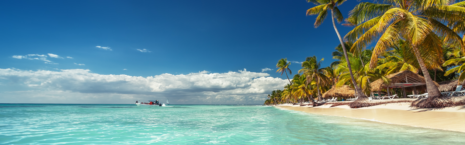 Navires de luxe et service irréprochable vous attendent ! 