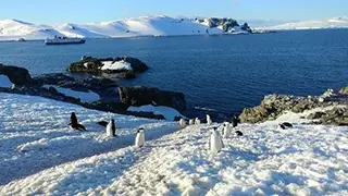 Image de King George Island