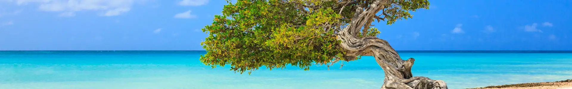 Ile d’Aruba