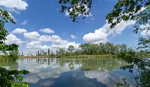 Image de Po