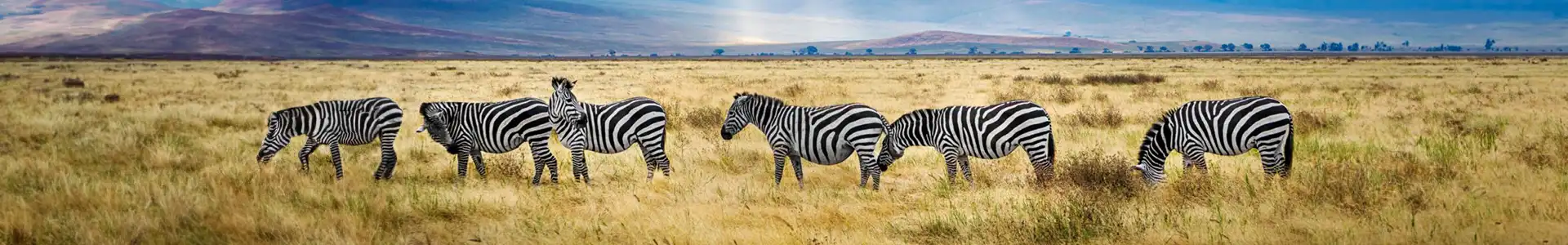 Afrique de l'Est