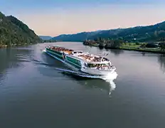 Image de Ms Amadeus Riva