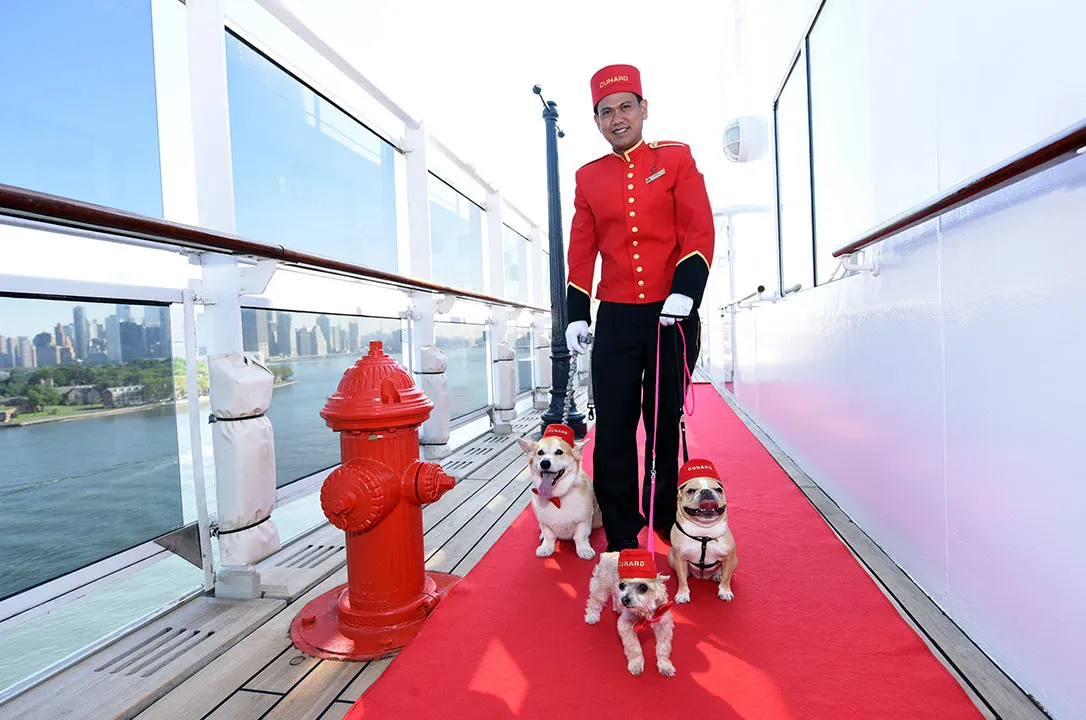 photo 6 Queen Mary 2