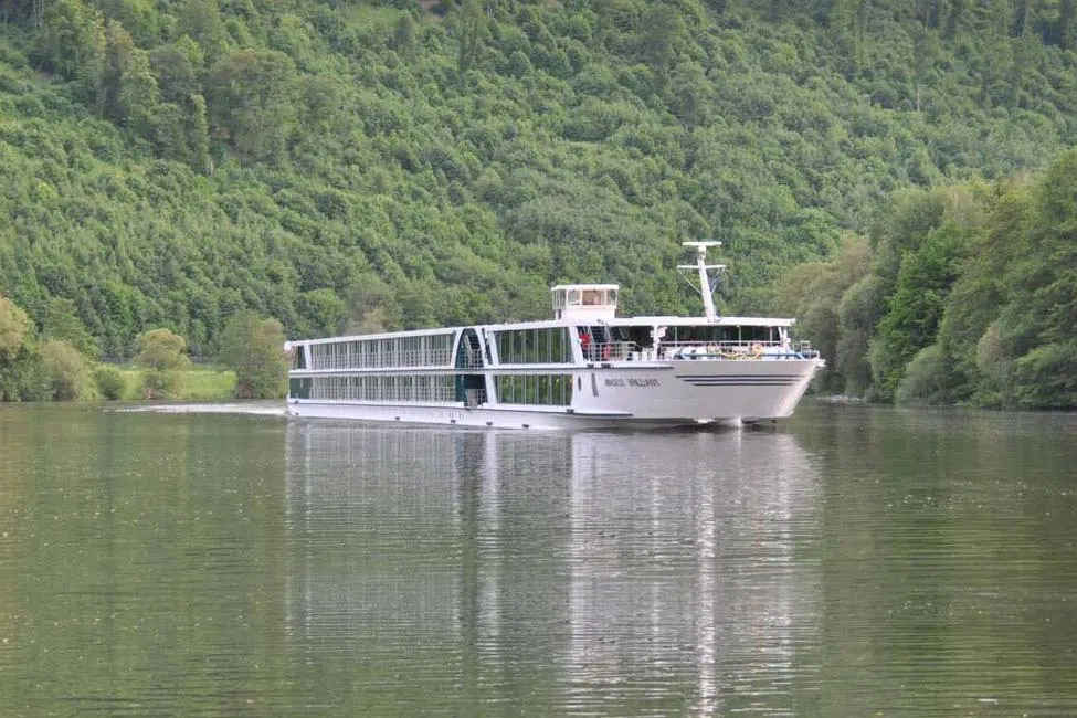 Image de Ms Amadeus Brilliant
