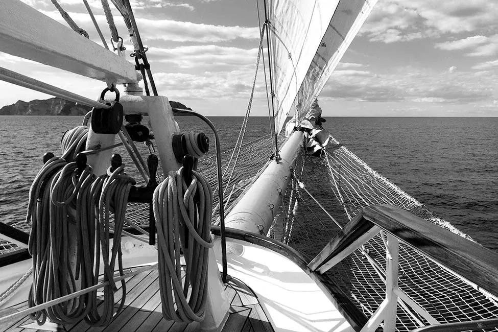 photo 7 Star Flyer