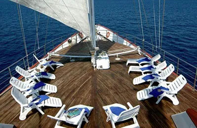 photo 4 M/S Panorama