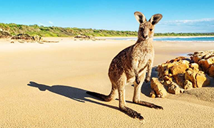 Image de Australie