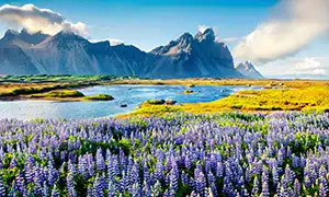 Image de Islande