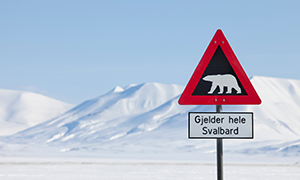 Image de Svalbard