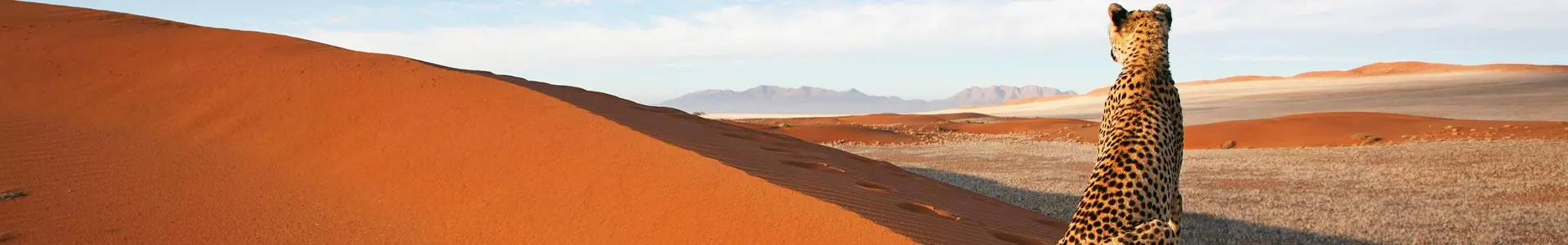 Namibie
