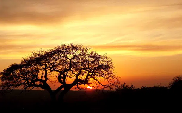 richards-bay
